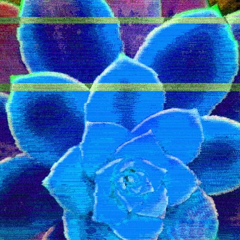 Photo taken with Glitchy